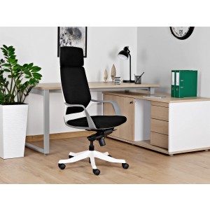 APOLLO