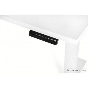FIGHTER SINGLE DESK