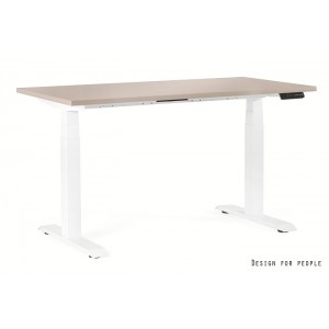 FIGHTER SINGLE DESK